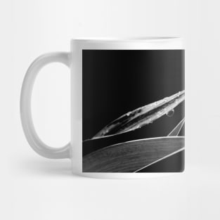 A Delicate Balance Mug